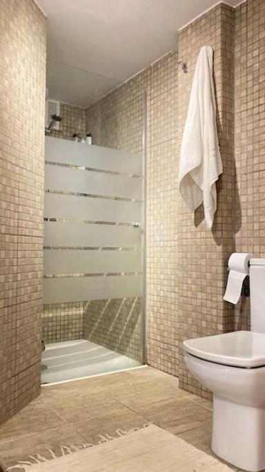 Atico Plaza Cristo De Burgos Appartement